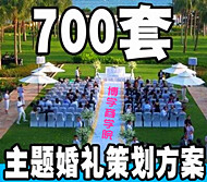 婚庆公司策划 700套资料大全 司仪 主持词婚礼主题策划书方案素材 
